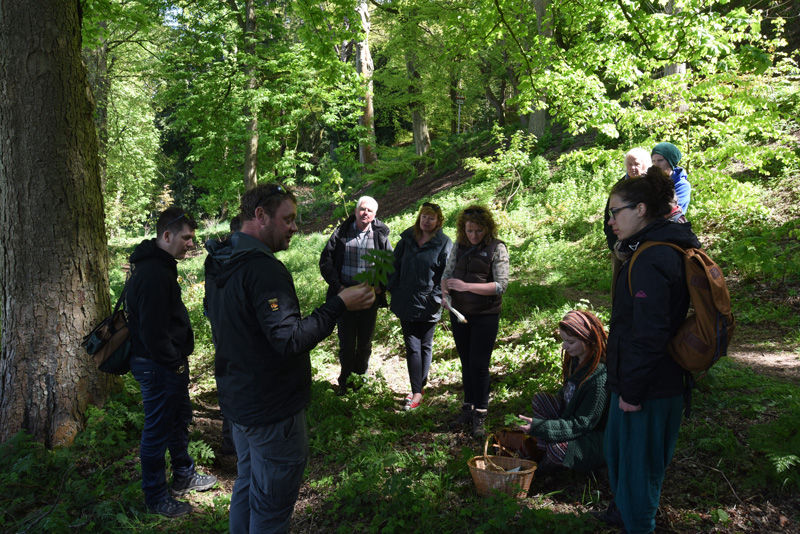 Foraging - Dundee May 2016