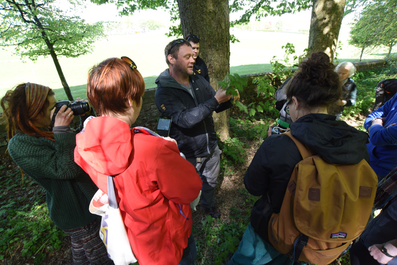 Foraging - Dundee May 2016